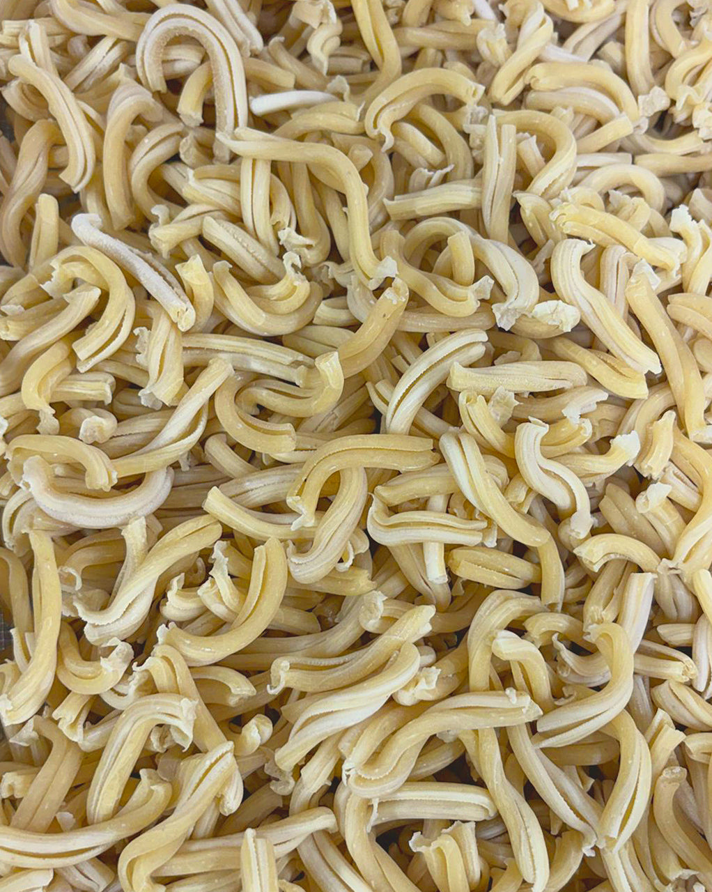 Casarecce von Pasta Dellini