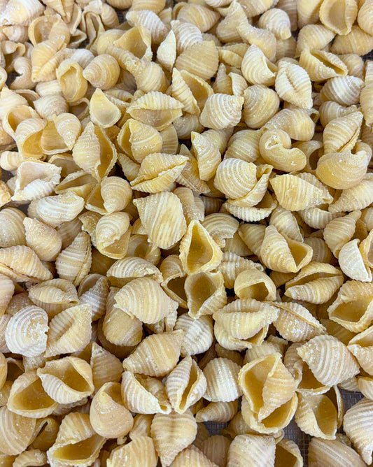 Conchiglie von Pasta Dellini