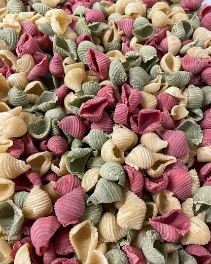 Conchiglie Tricolore von Pasta Dellini
